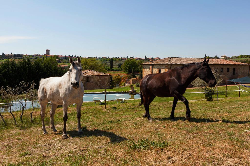 Agriturismo La Collina Πιέντσα Εξωτερικό φωτογραφία