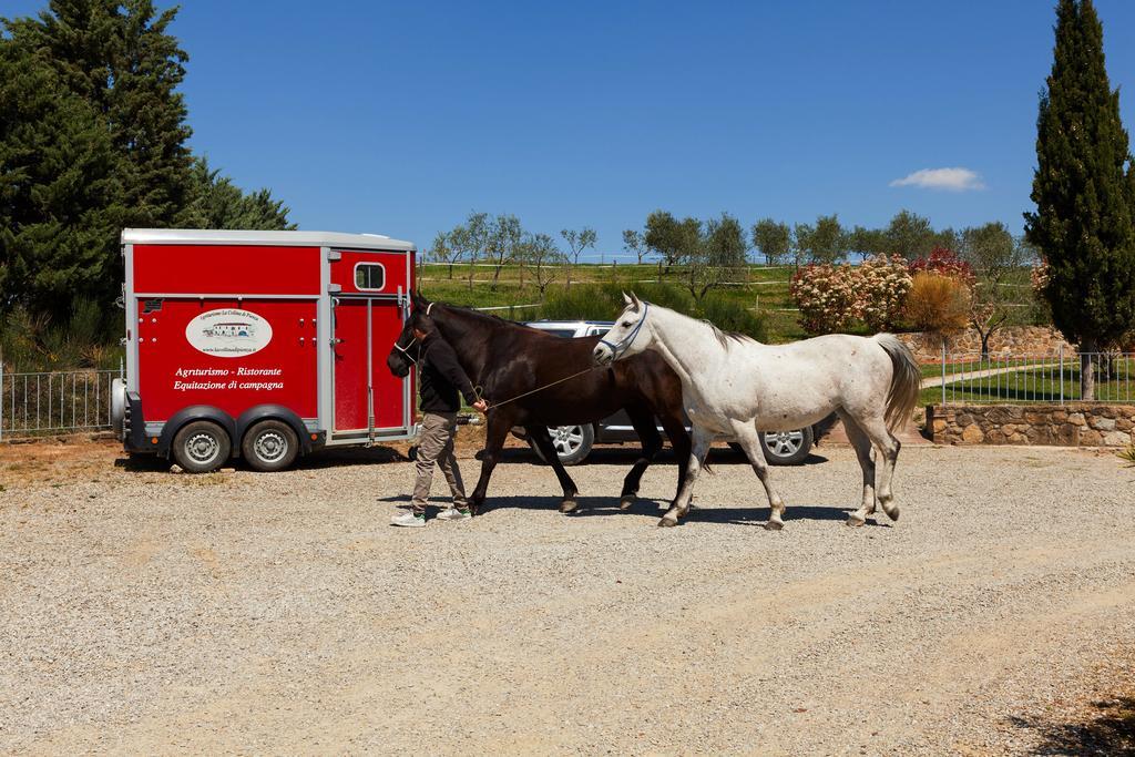 Agriturismo La Collina Πιέντσα Εξωτερικό φωτογραφία
